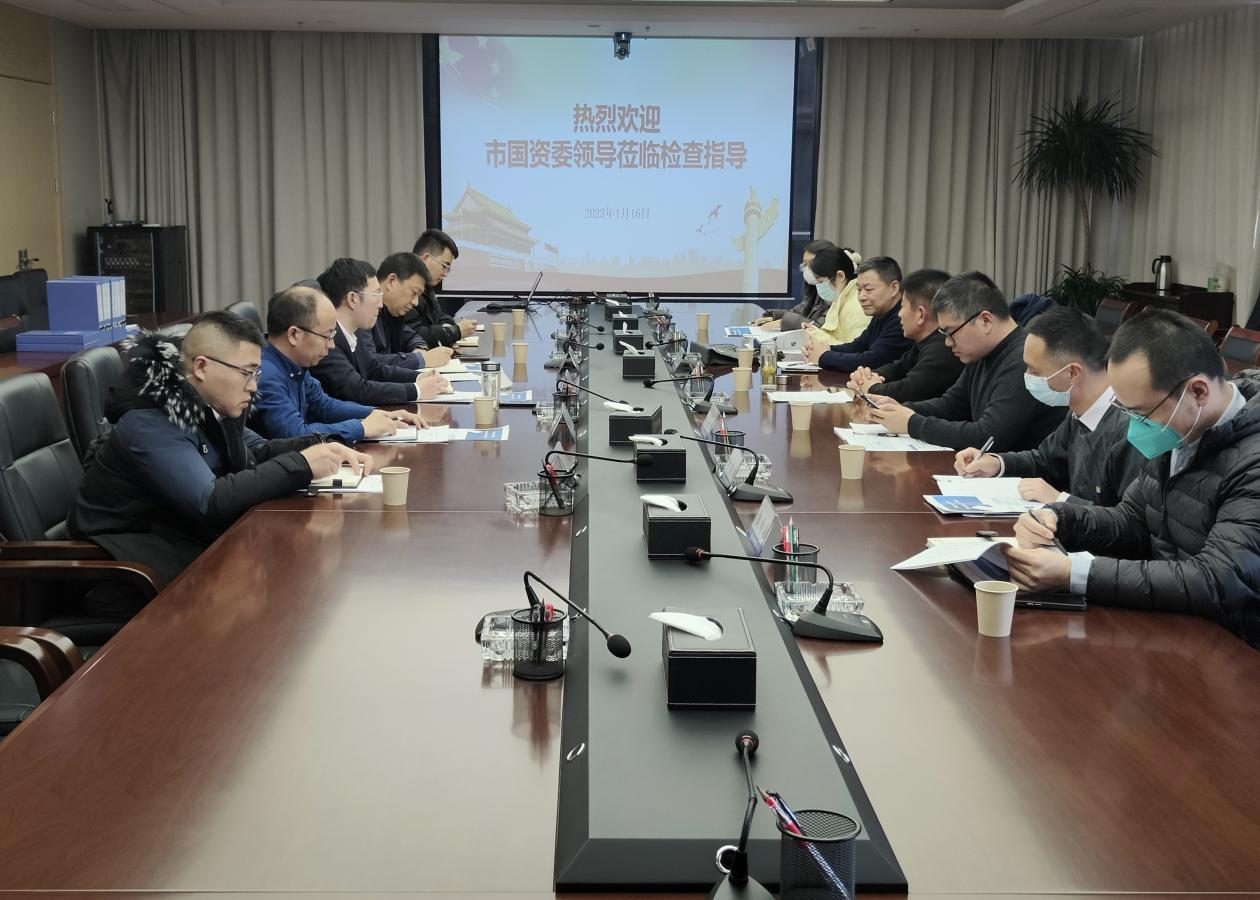 市国资委对巅峰国际官网集团开展清静生产审核事情